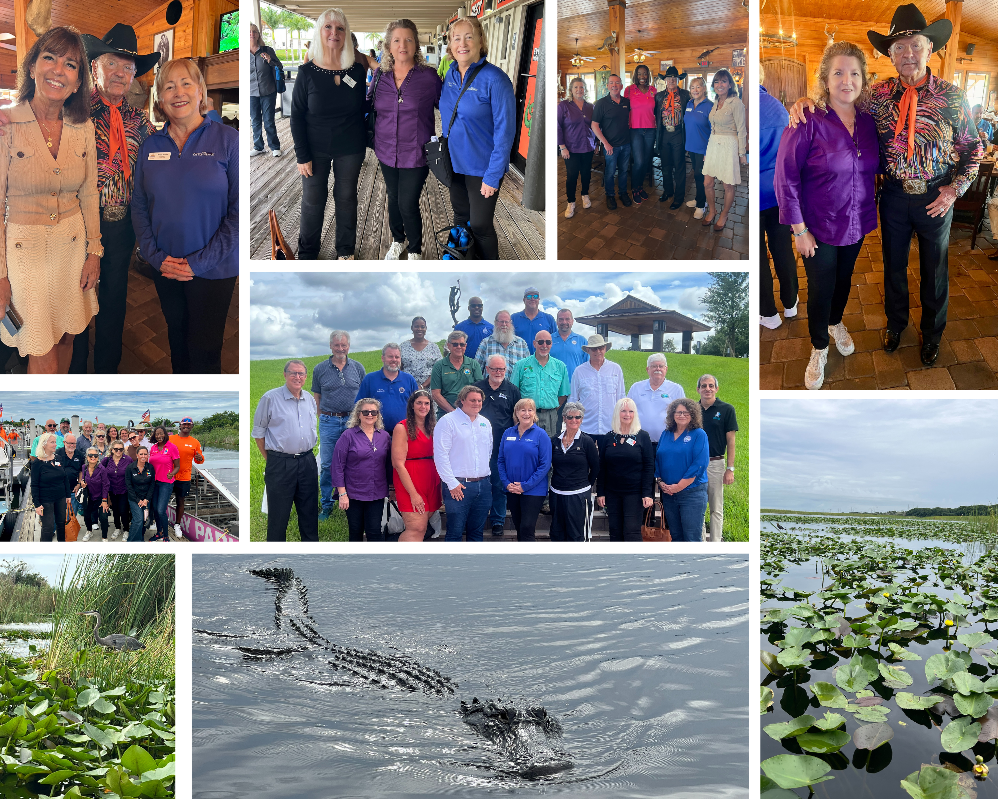 Everglades Collage