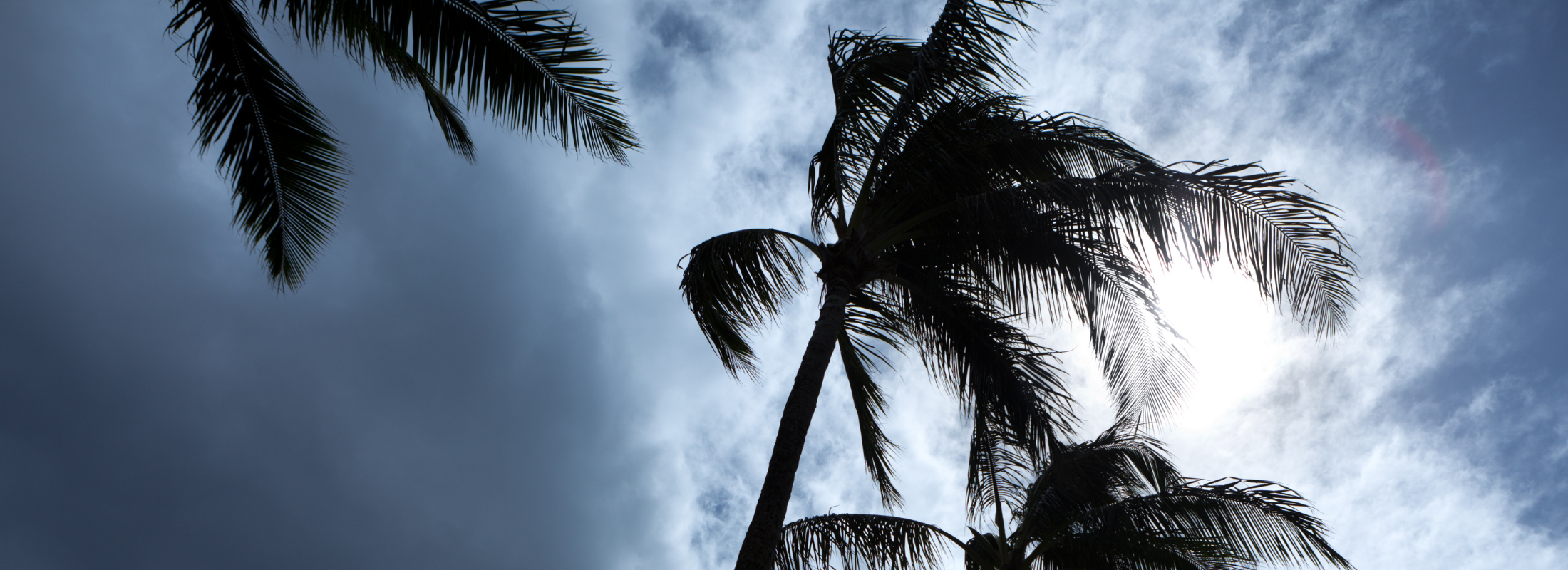 Hurricane Season runs from June 1 to November 30.