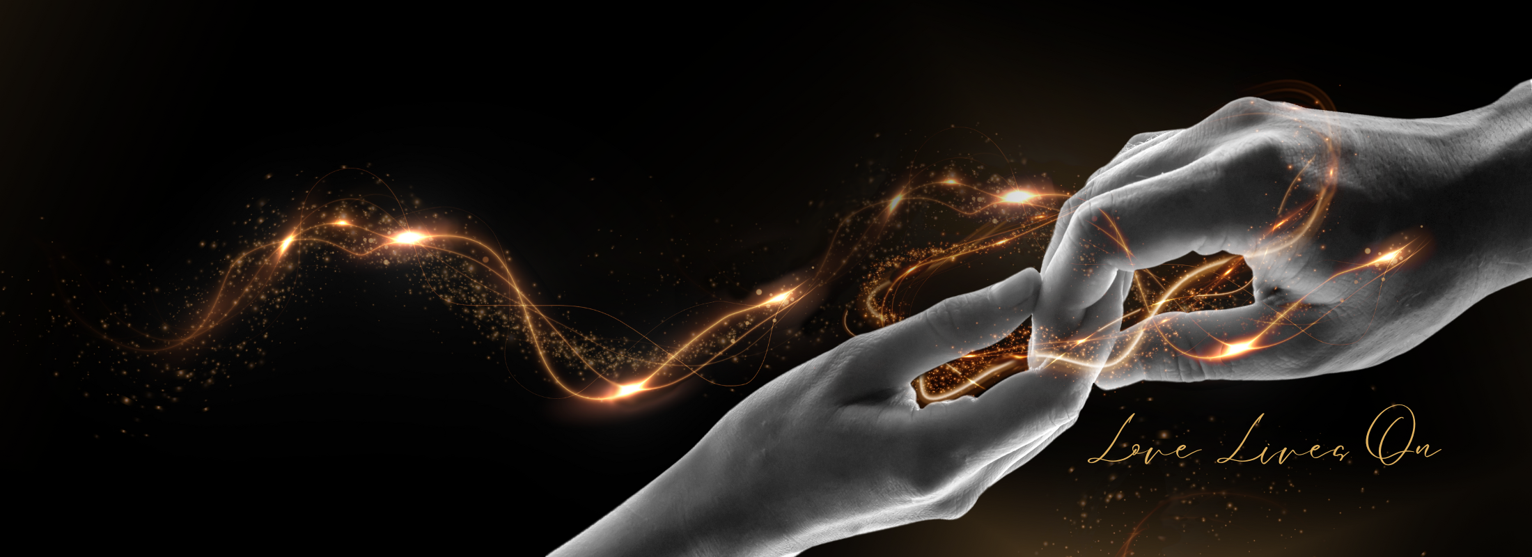 Remembrance Ceremony 2025 - Web Banner
