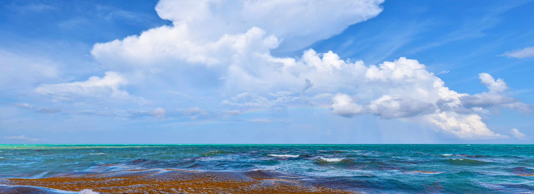 Sargassum Season Arrives: What Surfside Residents Should Know