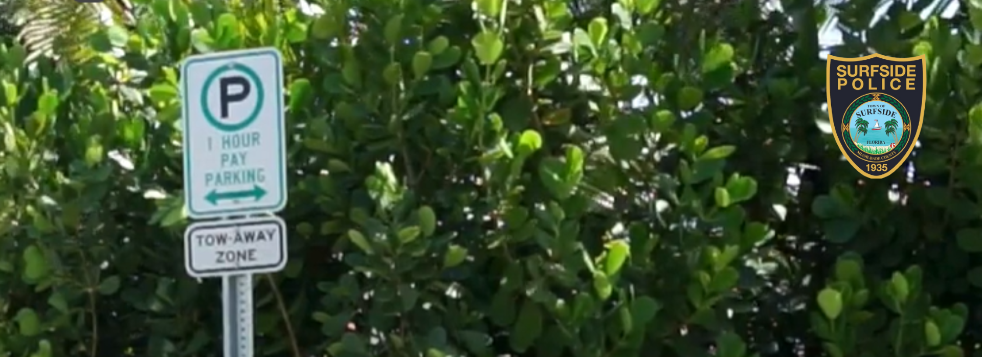 thumbnail_web banner larger size (38)
