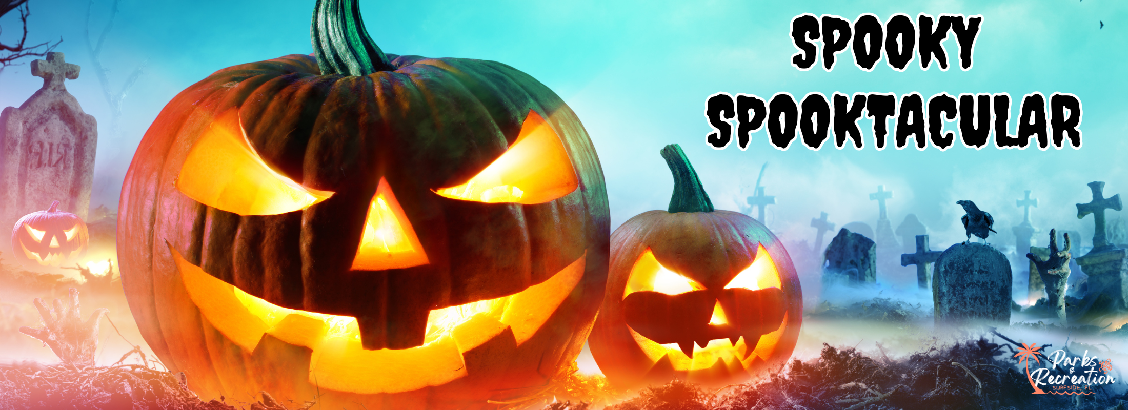 web banner larger size (2)