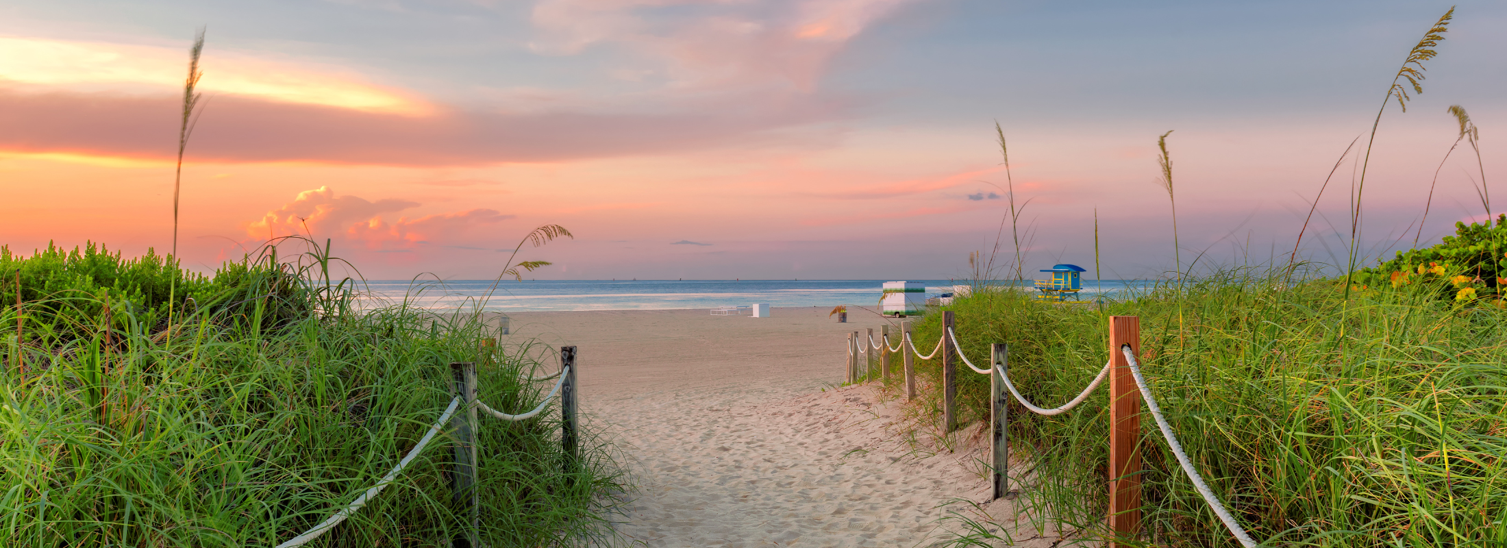 web banner larger size - 2026-04-09T101100.109