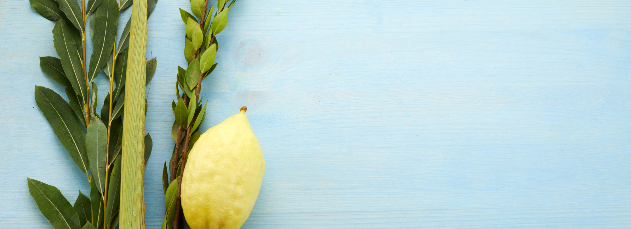 web banner larger size - 2026-09-15T125602.363