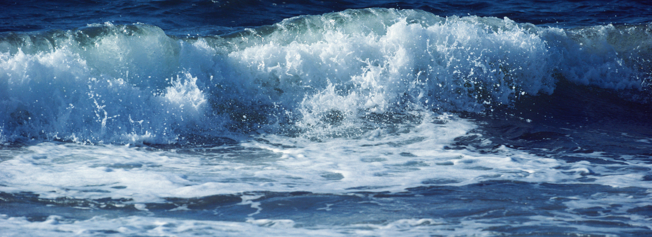 web banner larger size - 2026-09-21T152804.751