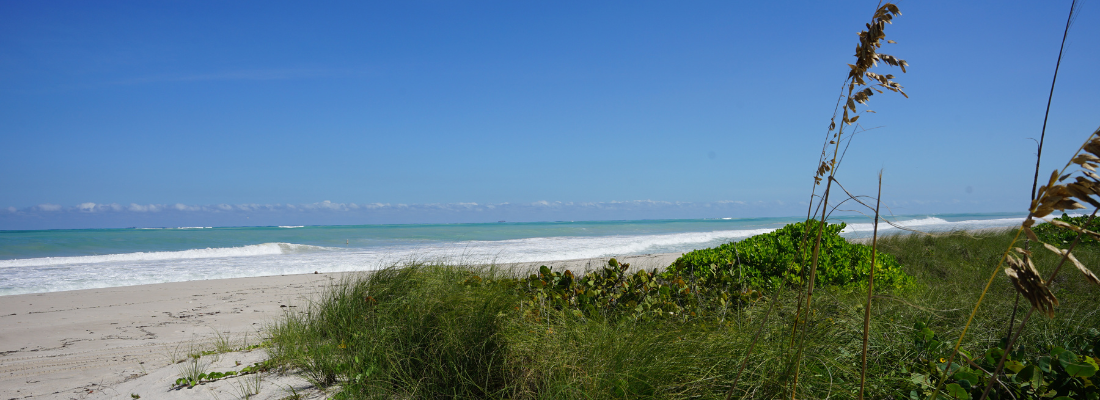 Beach View
