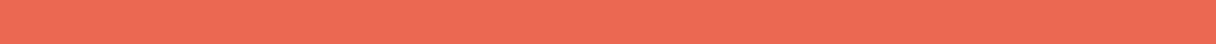Orange divider bar graphic
