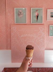 Serendipity Creamery & Yogurt Cafe